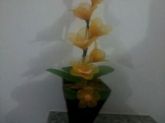 orquidea amarela