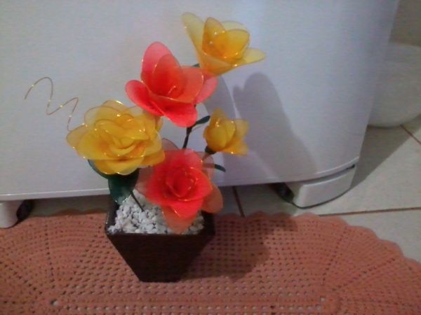 rosa laranjas e amarelas