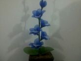 orquidea azul