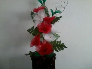 rosa vermelhas e brancas